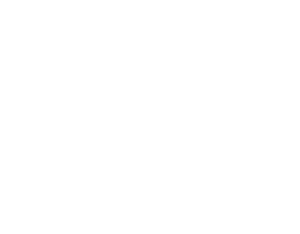 SDG-logo-white